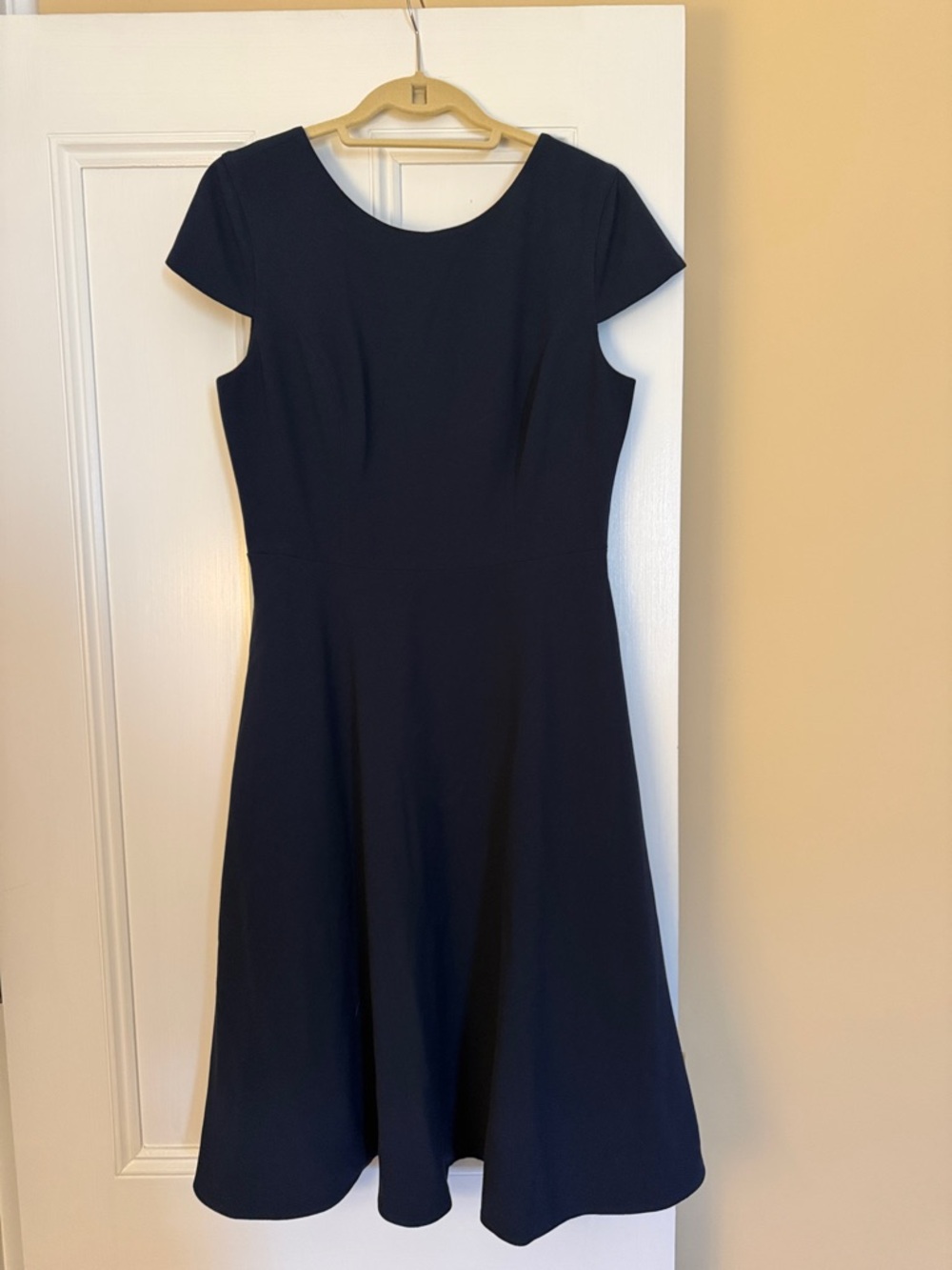 Dress the Population Navy Fit-and-Flare Midi Dress